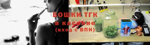 прущие грибы Абаза