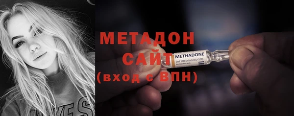 прущие грибы Абаза